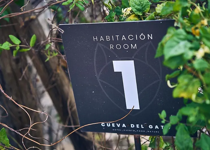 Eco Hotel Cueva del Gato